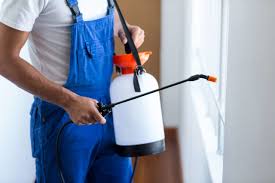 Best Residential Pest Control  in Lucerne, CA